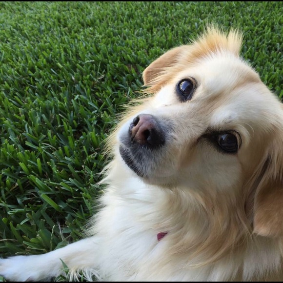 Meet your Posher, Faith - Picture 4 of 4